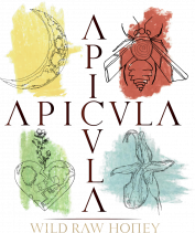 Logo Apicula by Boyhood Permaculture